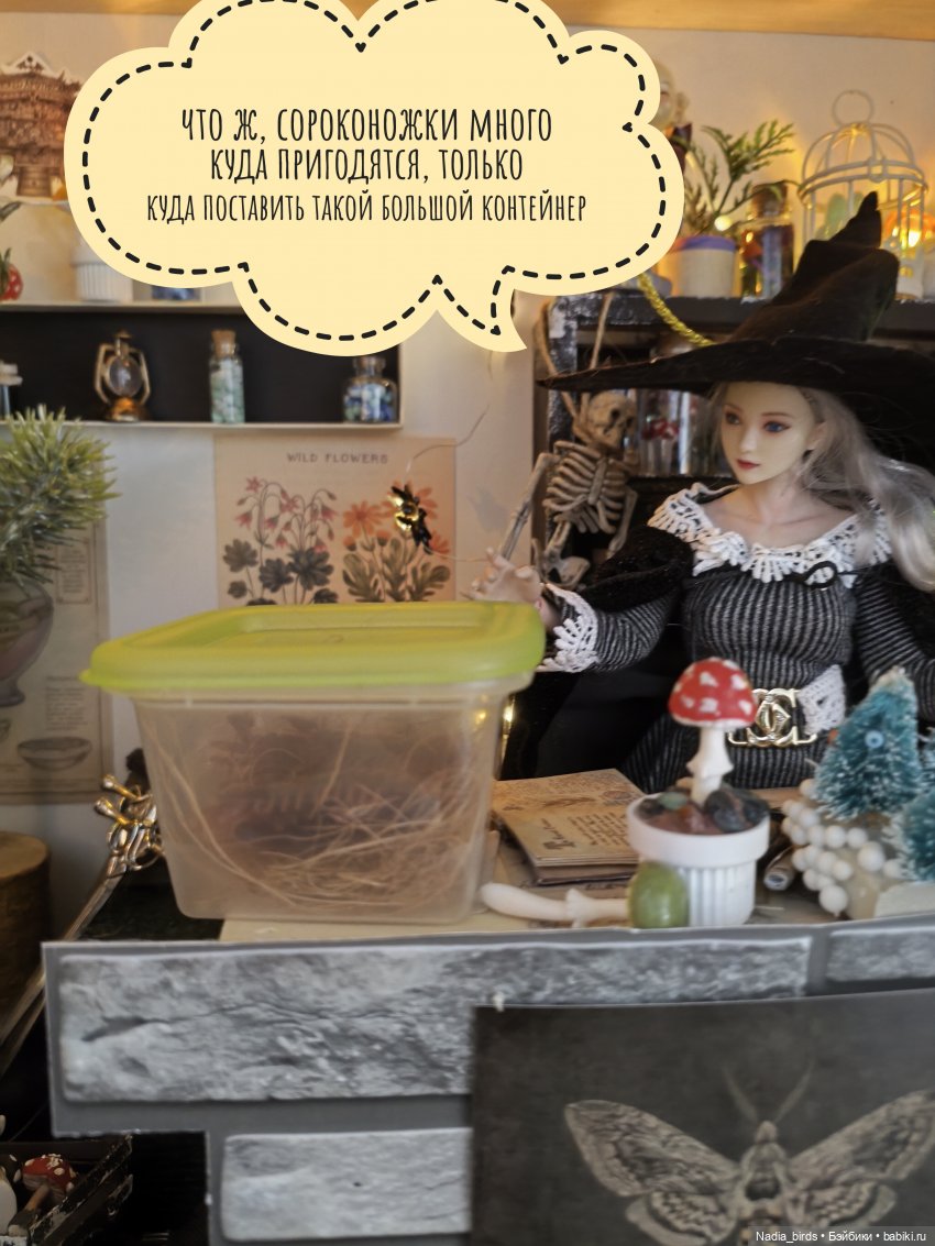 Ведьмолавка. Несчастный случай