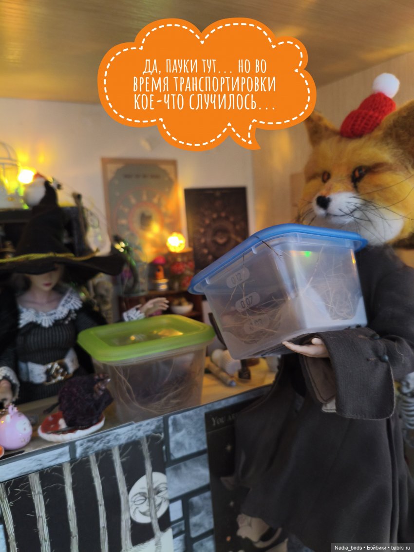 Ведьмолавка. Несчастный случай