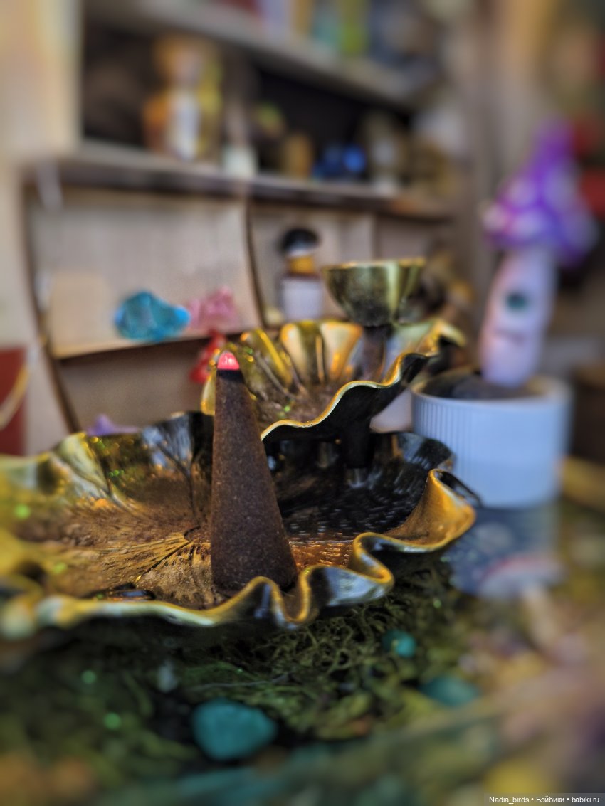 Ведьмолавка. Несчастный случай (фото 5)