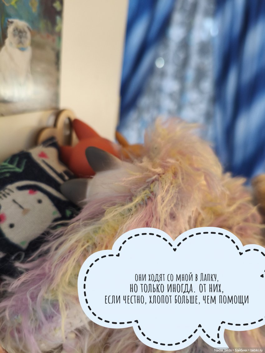 Как котик Оливер был домовым (фото 5)