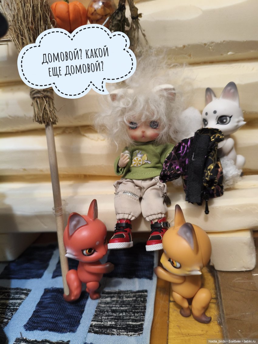 Как котик Оливер был домовым