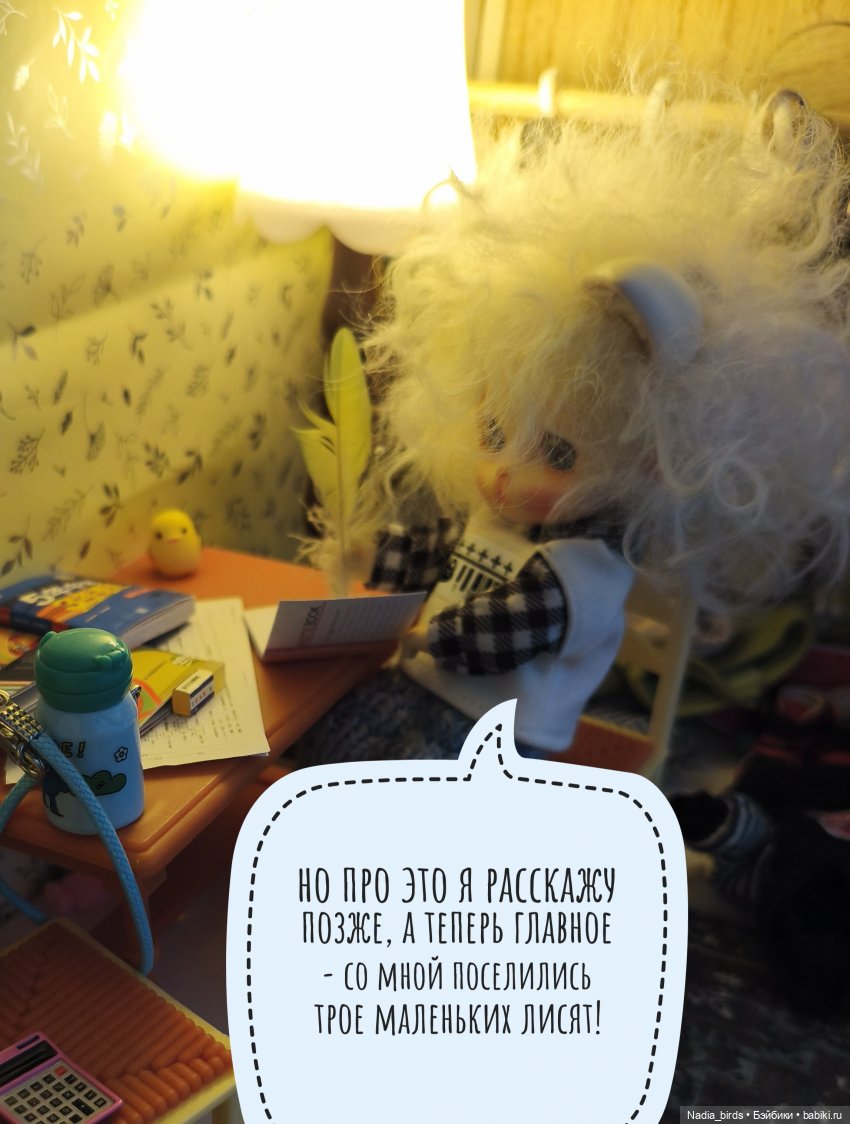 Как котик Оливер был домовым (фото 4)