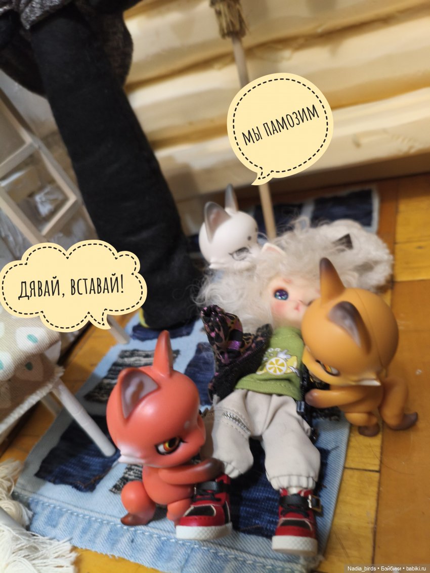 Как котик Оливер был домовым