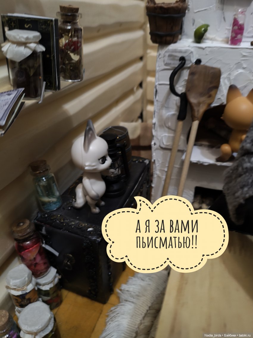 Как котик Оливер был домовым