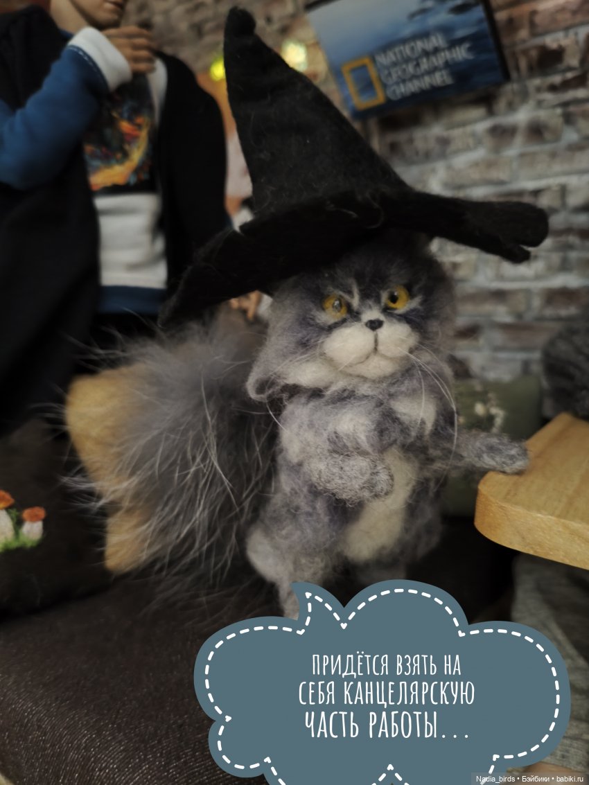 Новоприбывший. Отчет Мадам Горгоны