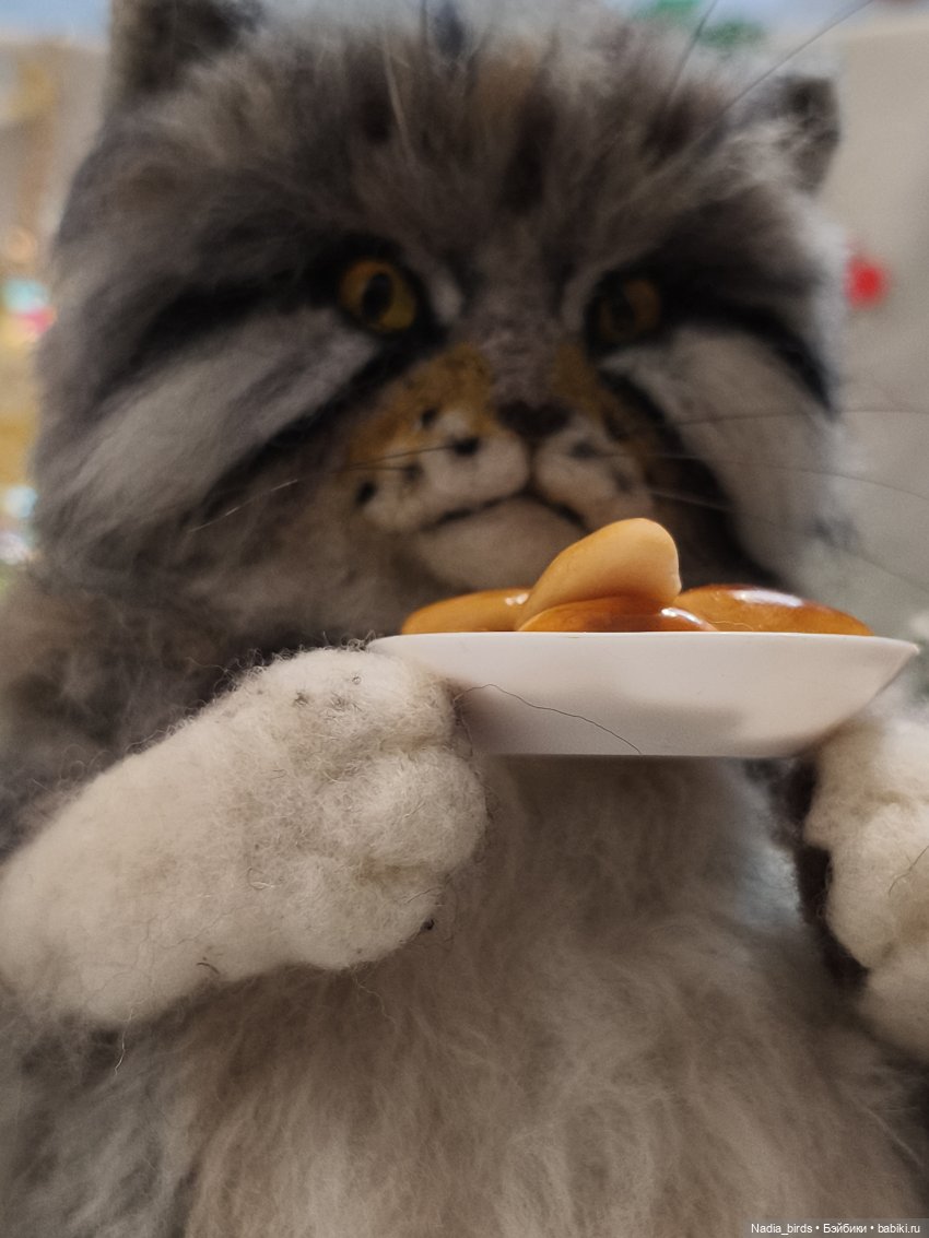 Новый повар для "Кошачьей Лапки" (фото 3)