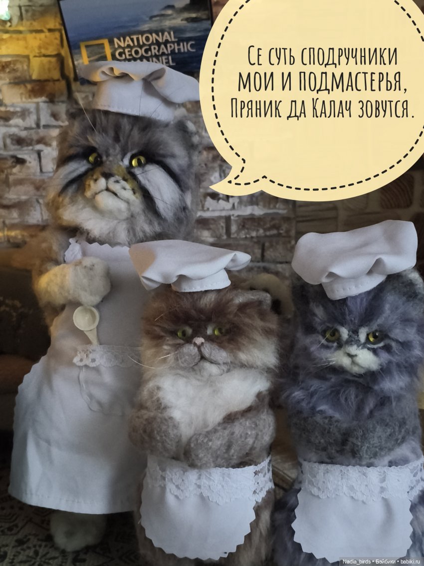 Кафе "Кошачья лапка" снова в строю (фото 4)