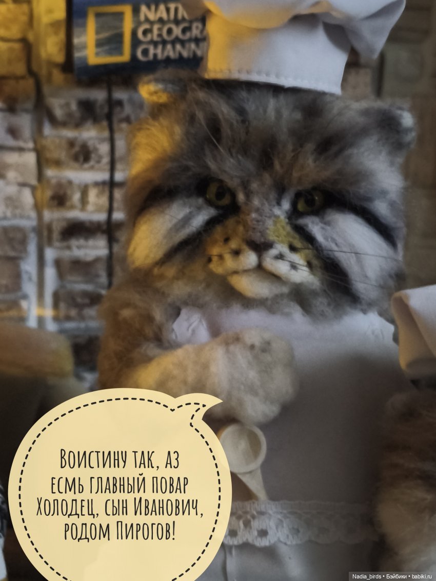 Кафе "Кошачья лапка" снова в строю (фото 3)