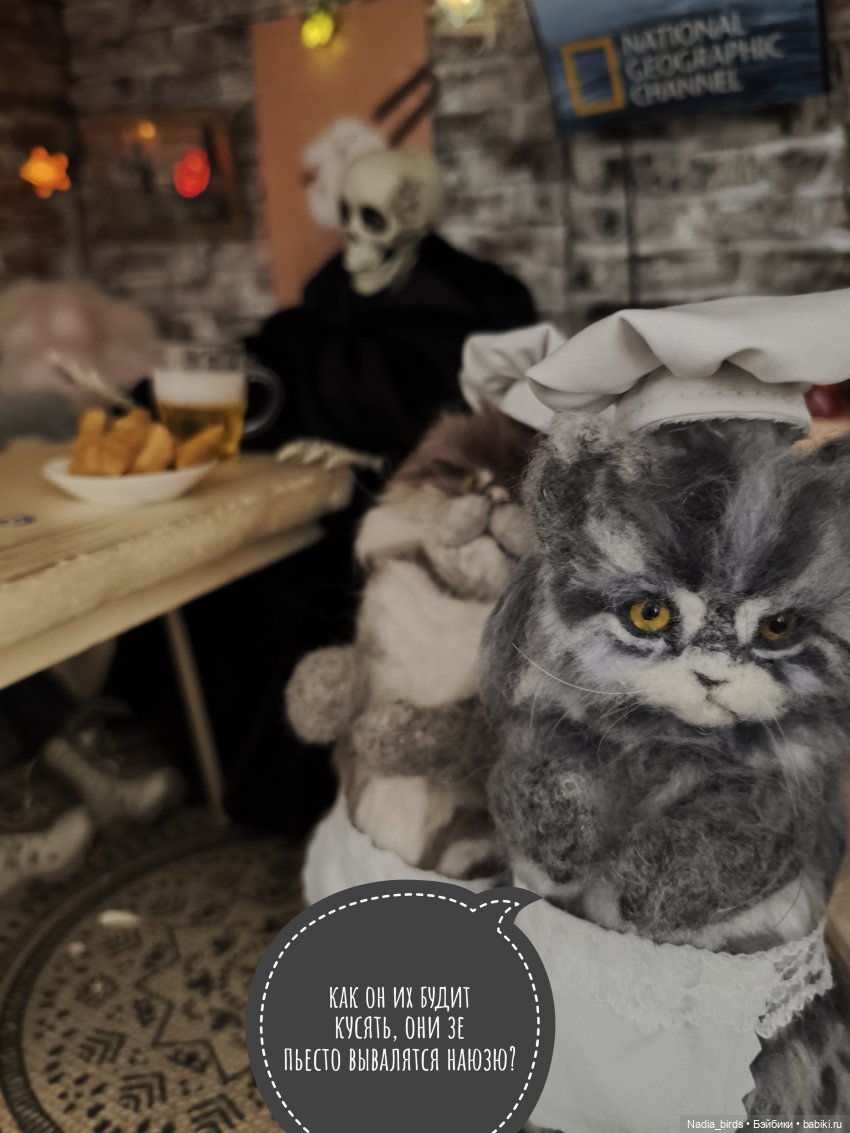 Странные гости в поисках Кэпа, продолжение