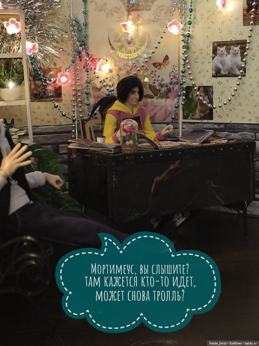 Семейные обстоятельства Мортимеуса Нордленда (фото 8)