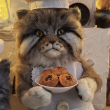 Холодец Иваныч, кот повар