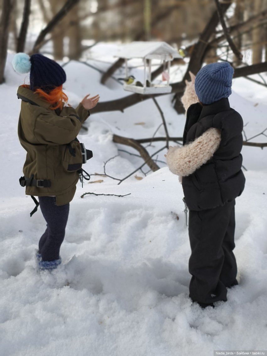 Покормите птичек зимой-) — Кукольная миниатюра своими руками: еда
