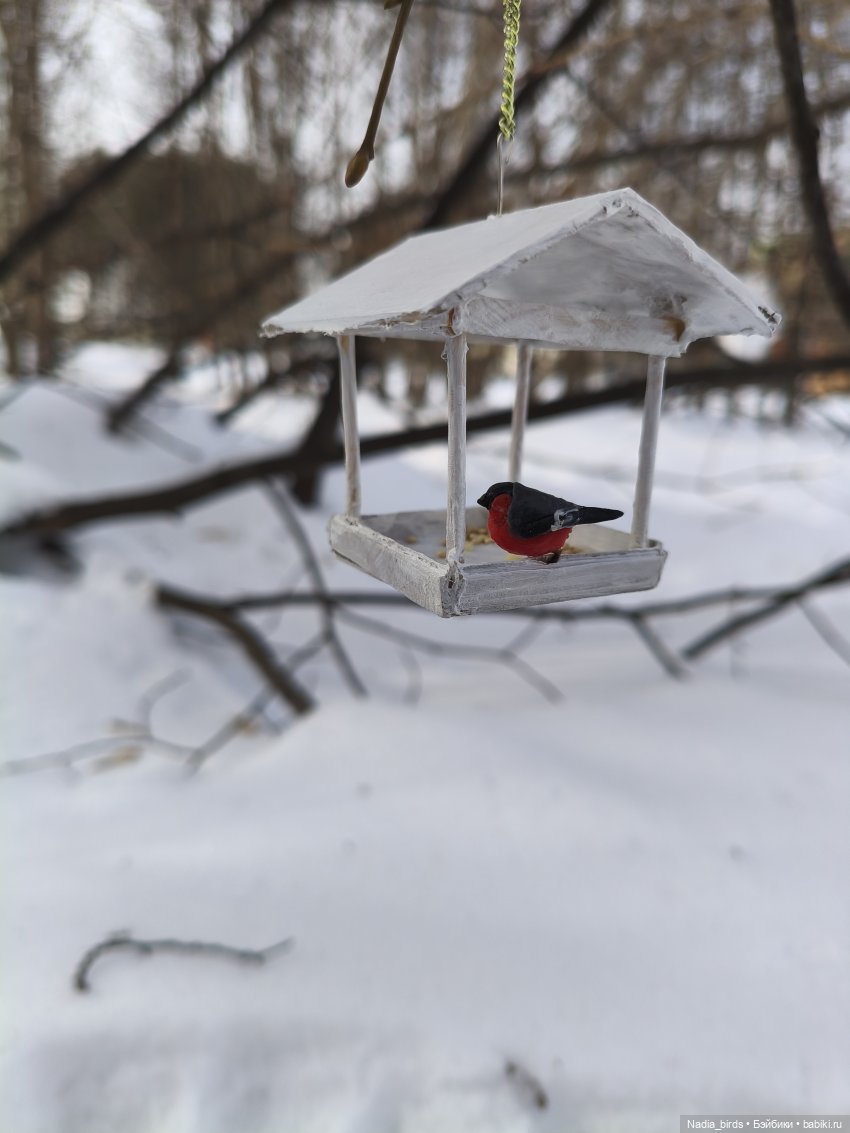 Покормите птичек зимой-) — Кукольная миниатюра своими руками: еда (фото 9)