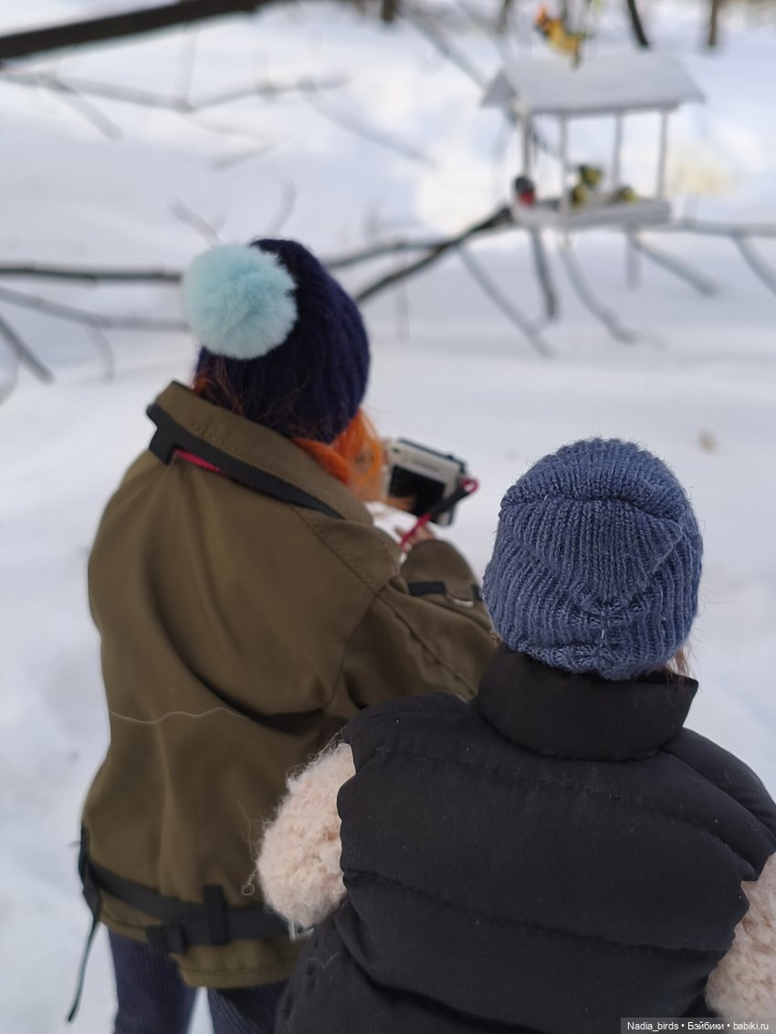 Покормите птичек зимой-) — Кукольная миниатюра своими руками: еда