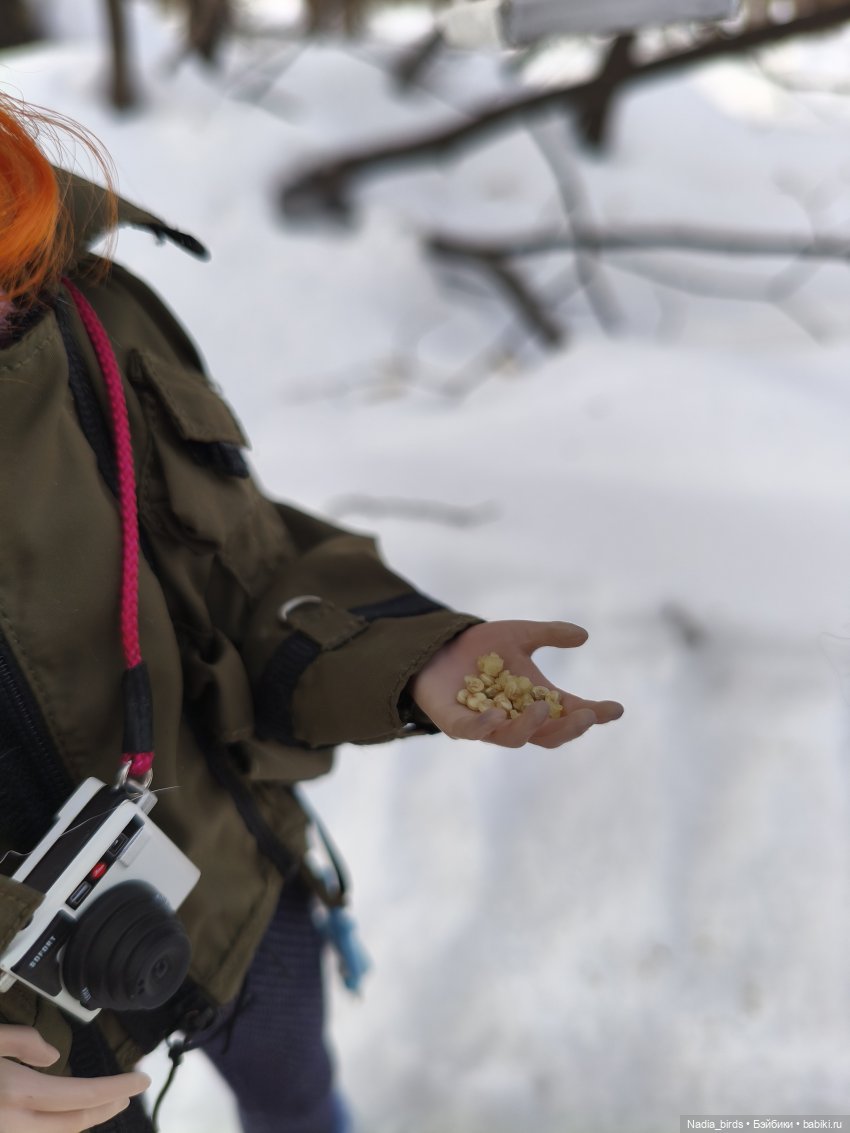 Покормите птичек зимой-) — Кукольная миниатюра своими руками: еда