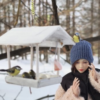 Покормите птичек зимой-)