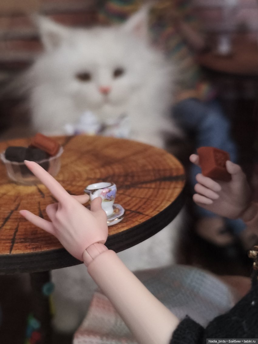 Совсем немного обновленного кафе "Кошачья лапка"