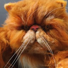 Живоглот (версия2)