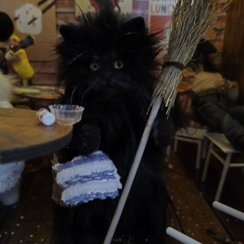 Однажды утром...