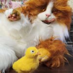 Василий и Пип