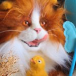 Василий и Пип