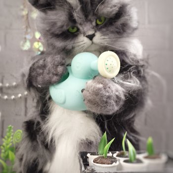Тимофей, котик-садовод