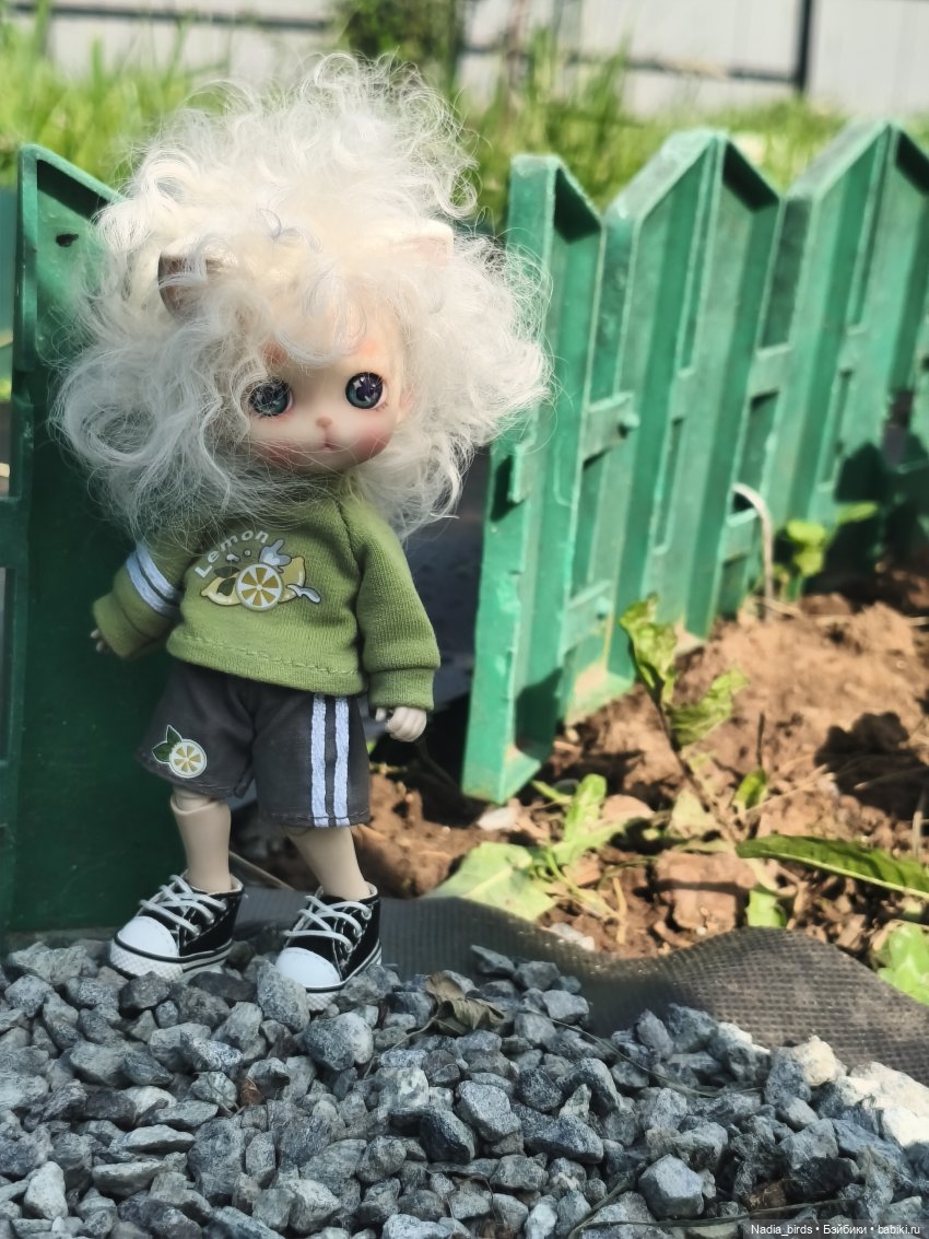 Котик Оливер гуляет в маленьком парке