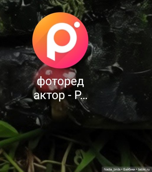 Здесь убавим, там прибавим... Про работу над сказкой "Король лягушонок"