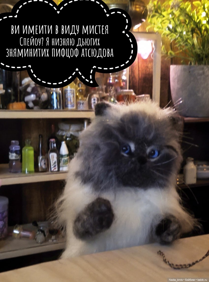 Зовите меня просто Эдриан