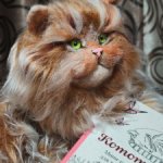 Лютик, пушистый кототерапевт