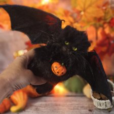 Летучий котик №1