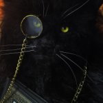 Кот Ученый