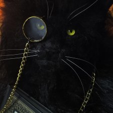 Кот Ученый