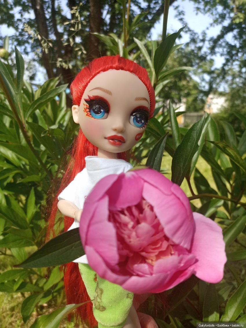 Пион расцвел Пион расцвел