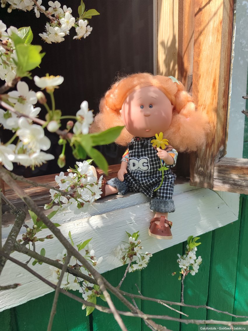 Мия на окне