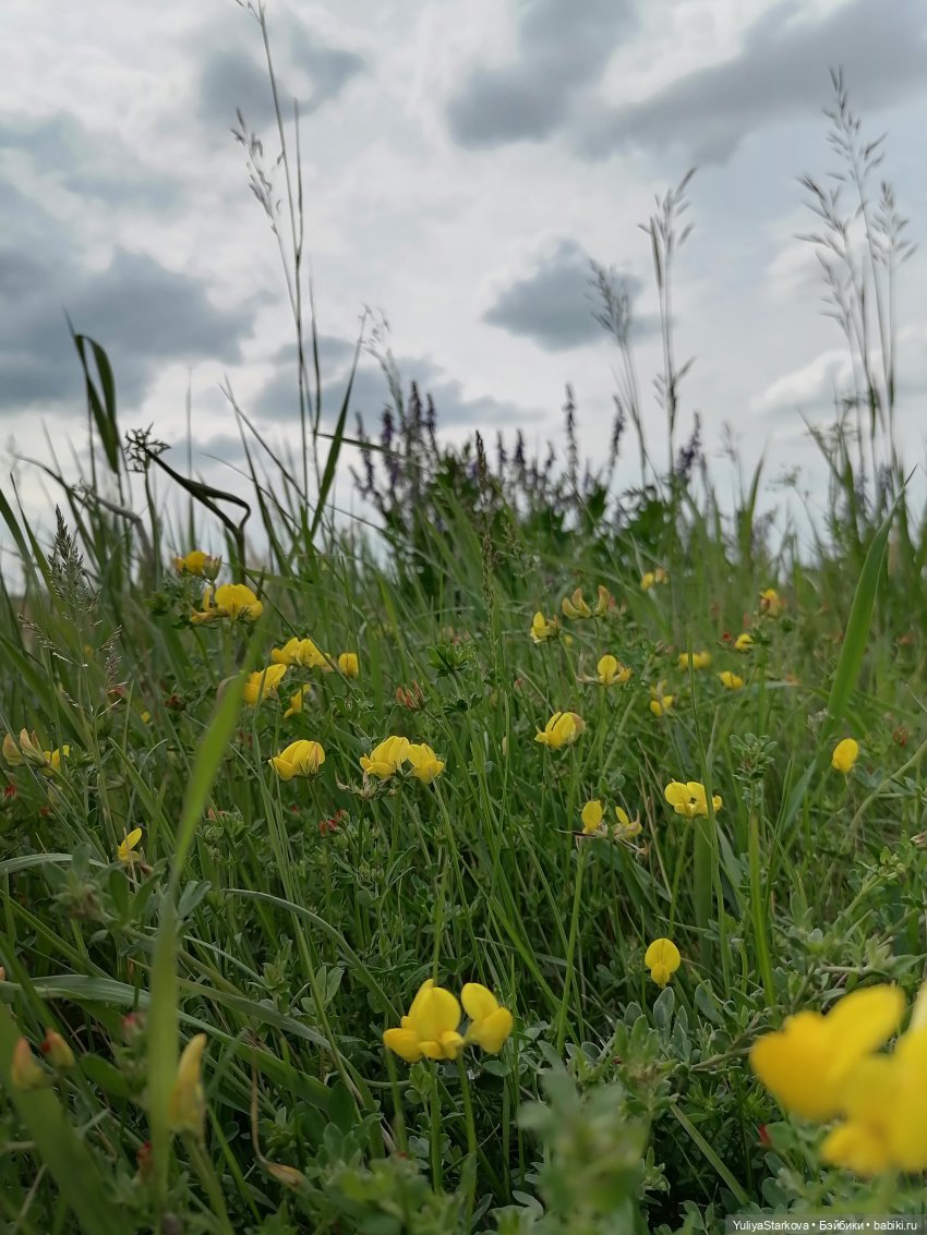 Букашки — Куклы Rosemarie Anna Muller (Мюллер): Вихтели (Wichtel)