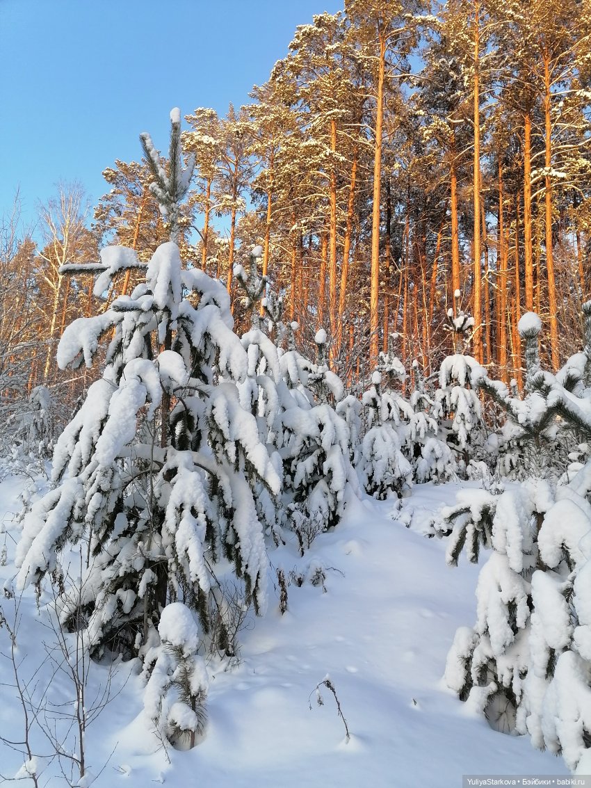Вот и зима — Куклы Xiaomi Monst (Сяоми) и Pipitom: шарнирные (фото 10)