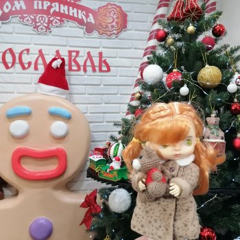 Поездка в Ярославль