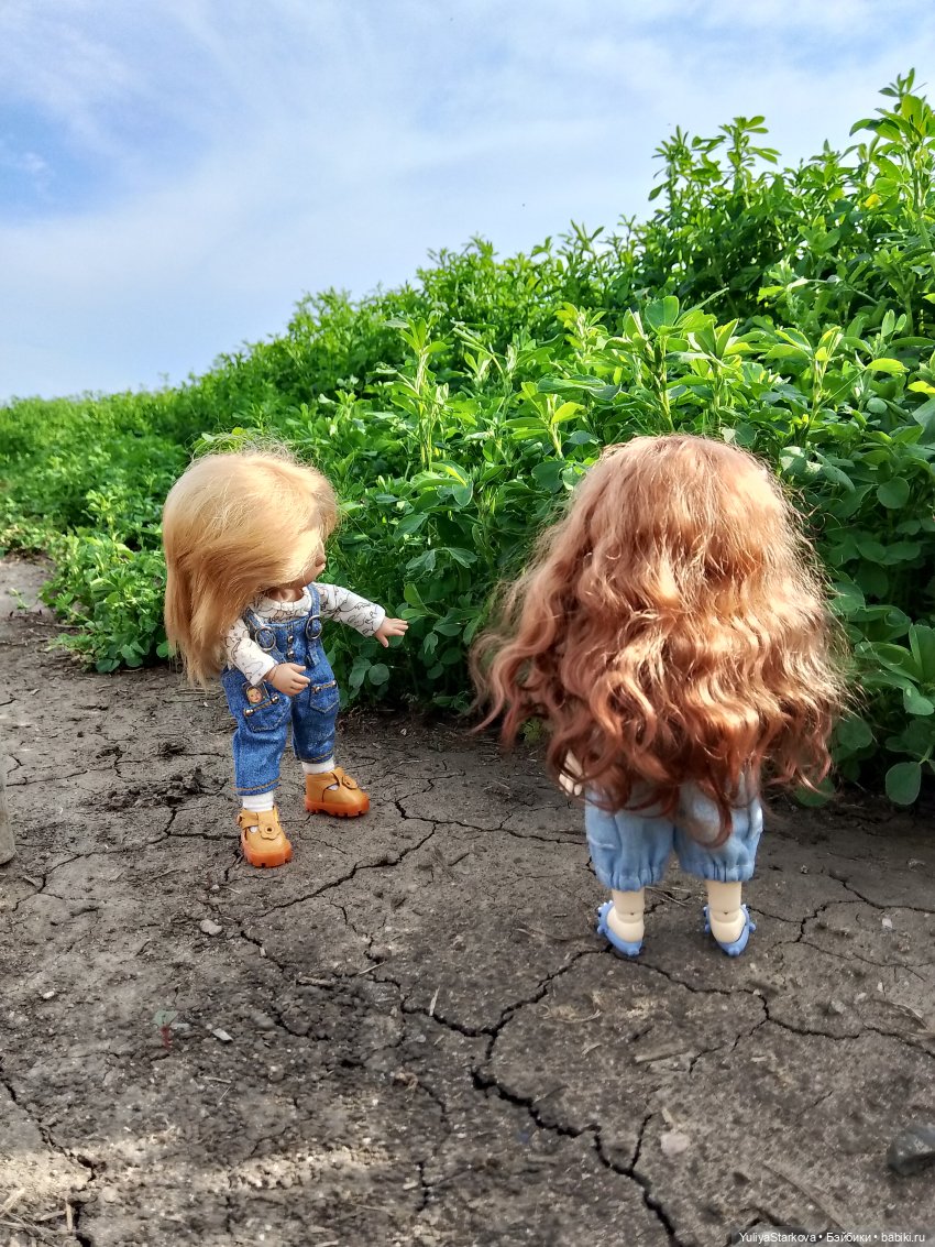 Летняя прогулка | Бэйбики Летняя прогулка — Куклы Fairyland (ФэйриЛэнд): BJD (БЖД)