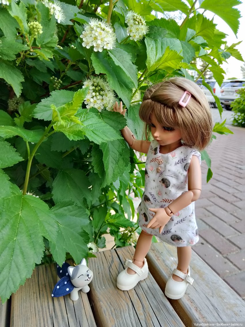 Летняя прогулка | Бэйбики Летняя прогулка — Куклы Fairyland (ФэйриЛэнд): BJD (БЖД) (фото 6)