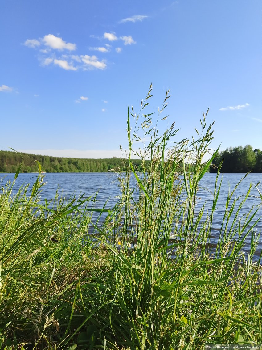 Солнце, воздух и вода | Бэйбики Солнце, воздух и вода — Куклы Fairyland (ФэйриЛэнд): BJD (БЖД)