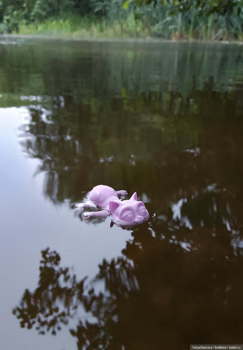 Навстречу приключениям, или Постконкурсное (фото 8)