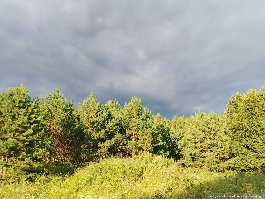 Навстречу приключениям, или Постконкурсное