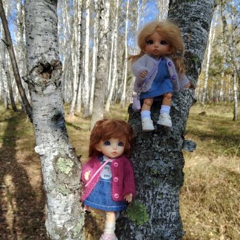 Девчонки в берёзовой роще