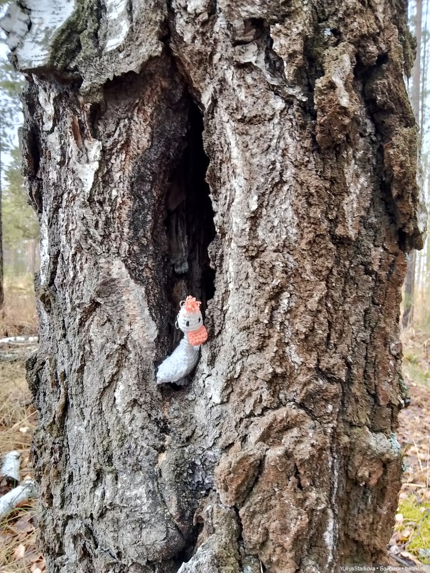 Мия и гусики — Куклы Nines d'Onil (Нинес): Миа (Mia) (фото 7)