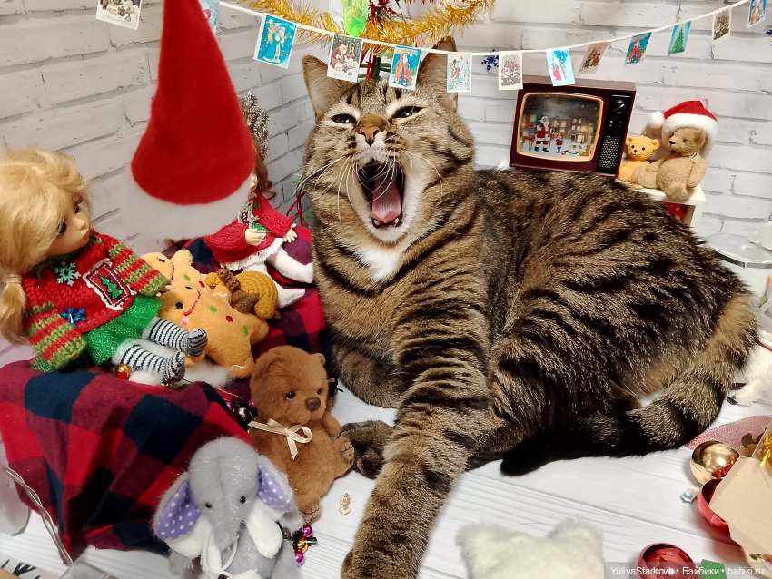 Новогоднее — Куклы Fairyland (ФэйриЛэнд): BJD (БЖД)