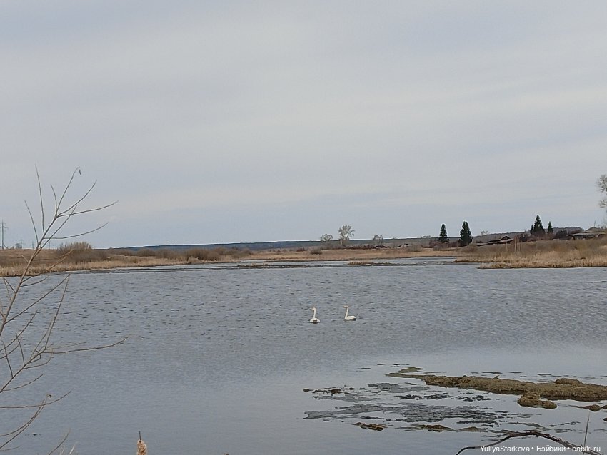 Прогулка Лиды — Куклы Fairyland (ФэйриЛэнд): BJD (БЖД) (фото 10)