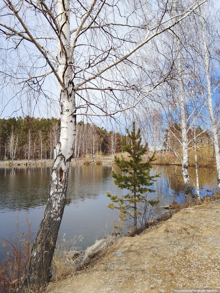 Зайчики — Куклы Fairyland (ФэйриЛэнд): BJD (БЖД)