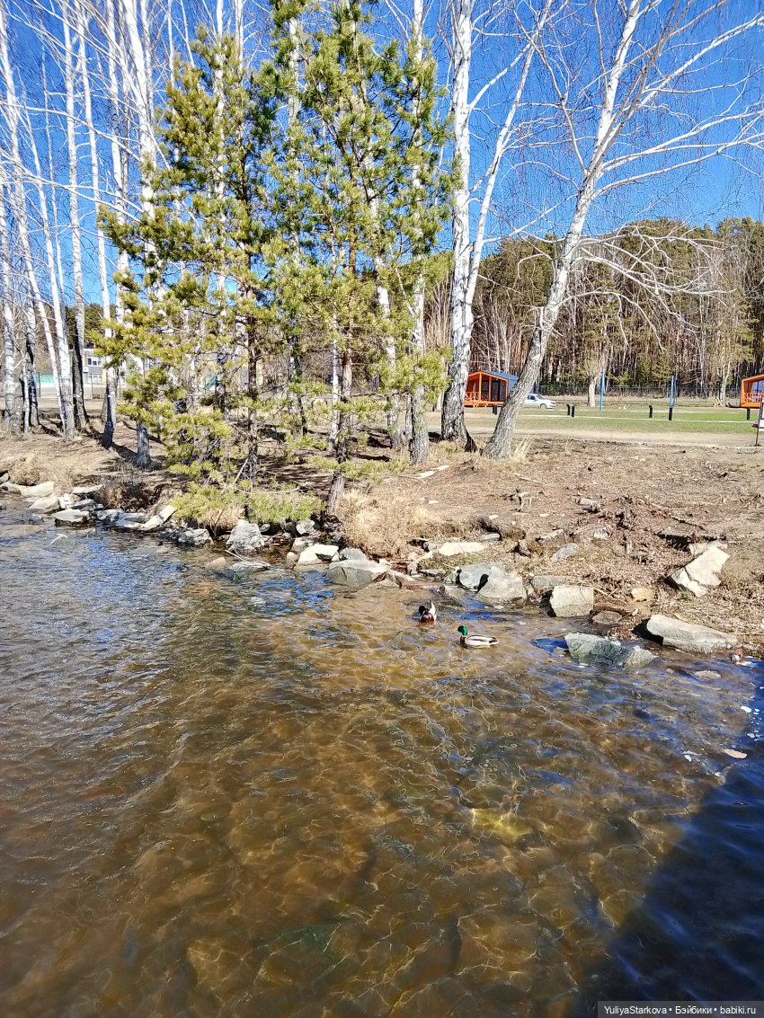 Зайчики — Куклы Fairyland (ФэйриЛэнд): BJD (БЖД) (фото 7)