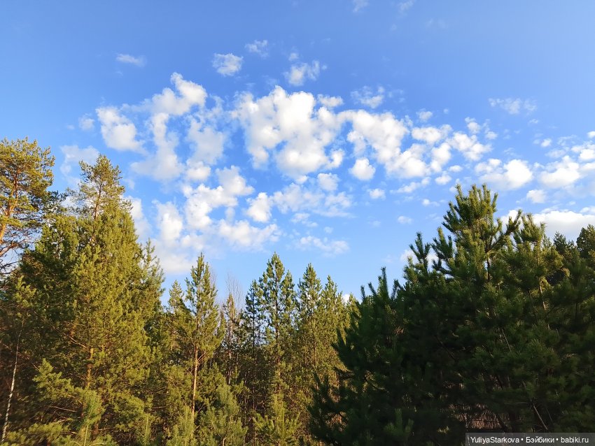 Сказочный день апреля — Куклы Fairyland (ФэйриЛэнд): BJD (БЖД)